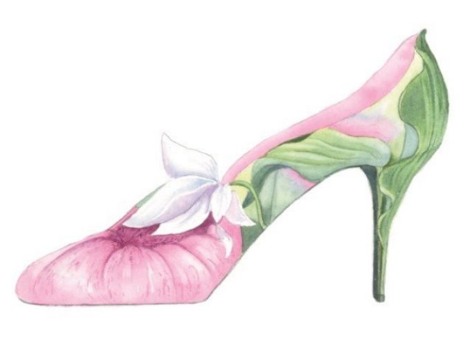 A Lady's Slipper